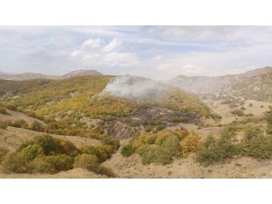 Bingöl’deki orman yangınları kontrol altına alındı