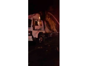 Narenciye yüklü kamyon yandı