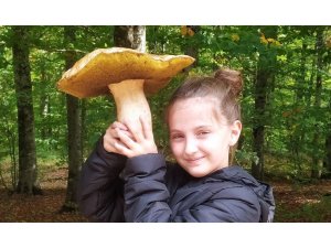 Mantar avcısı minik kız 2 kiloluk dev mantar buldu