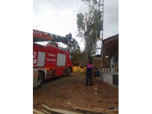 Yozgat’ta ağaç budarken elektrik akımına kapıldı, kurtarılamadı