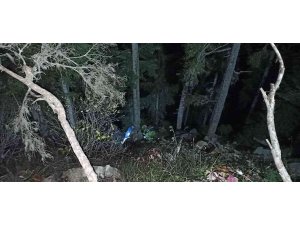Odun keserken uçuruma düşen kişi kurtarıldı