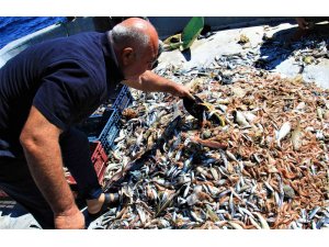 Akdeniz’de balıktan çok çöp çıkıyor, balıkçı nadas istiyor