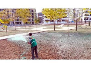 Elazığ Belediyesinden soğuğa dayanıklı yeşillendirme çalışmaları
