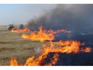 Büyükşehir anız yangınlarına karşı vatandaşları uyardı