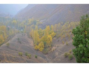 Şırnak’ta Karadeniz’i aratmayan manzara