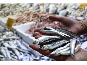 Balıkçılar şaşkın: Ucuz balığa ilgi yok