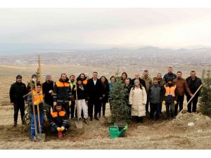 Van Büyükşehir Belediyesi 1 yılda 30 bin fidanı toprakla buluşturdu