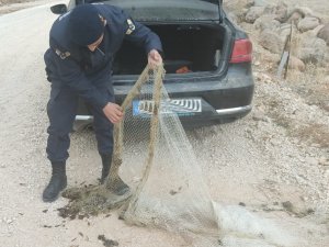 Kaçak balık avına 4 bin lira ceza