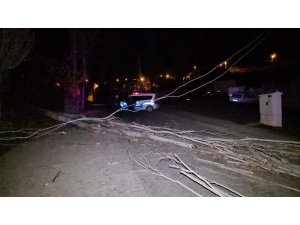 Karabük’te fırtınada ağaçlar devrildi, elektrik telleri koptu