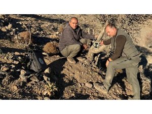 Elazığ’da yaban hayatı ve kaçak avcılar, fotokapanlarla tespit ediliyor