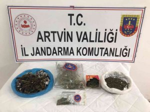 Artvin’de jandarmanın uyuşturucu operasyonunda 3 kişi gözaltına alındı