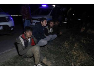Kaçak göçmen taşıyan minibüs polisten kaçarken pamuk tarlasına devrildi