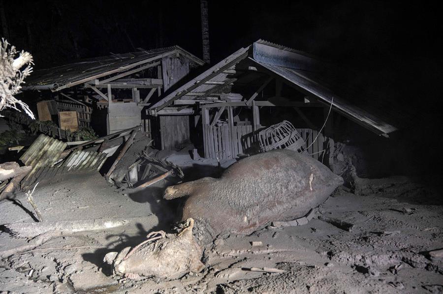 Endonezya'da Semeru yanardağı patladı: 14 kişi öldü onlarca köy boşaltıldı