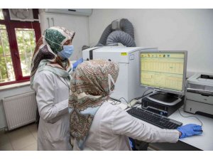 GMK Devlet Hastanesi “mesleki ve çevresel” hastalıklar alanında hizmet vermeye başladı