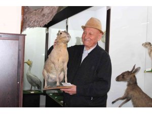 Ömrünü adadığı tahnit sanatı ile ölü hayvanları yaşatıyor