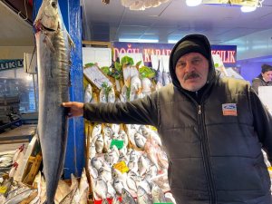 2 bin liraya satılan 1 buçuk metrelik kılıç balığı ilgi çekiyor