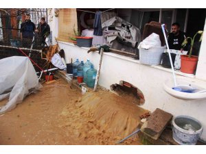 Bodrum’da sel faciası, evleri su bastı, sokak hayvanları boğuldu