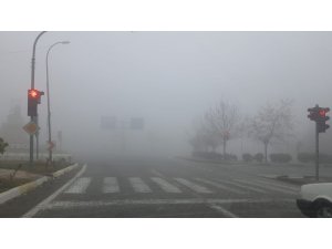 Besni’de yoğun sis etkili oluyor