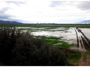 Söke’de yağışlar yaklaşık 2 bin 500 dönüm araziyi sular altında bıraktı