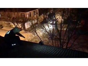 İtfaiyeden çatıdaki kediyi kurtarma operasyonu