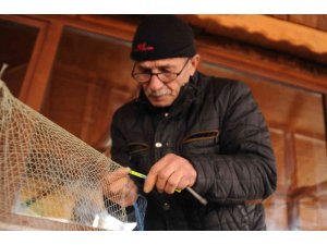Balıkçılar yunusların ağlara verdiği yaraları sarıyor