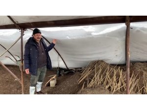 Kahramanmaraş’ta yoğun kar nedeniyle ceviz seraları zarar gördü