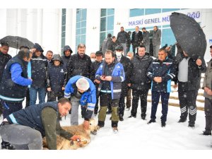 Malatya’da yoğun kar için şükür kurbanı