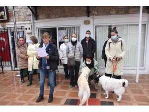 Bodrum’da hayvanseverler şiddet olaylarına dikkati çekti