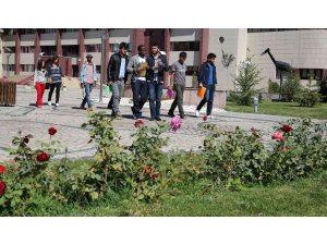 Bayburt Üniversitesi, ‘en yeşil’ üniversiteler arasında yer aldı