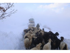 Beydağı’nı aşan Battalgazi Belediyesi ekipleri, üretici ve hayvanlarını kardan kurtardı