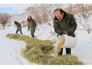 Vali Çırav Dağı’nda yaban hayvanları için doğaya yem bıraktı