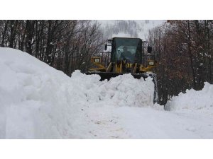 Bingöl’de kar nedeniyle 71 köy yolu ulaşıma kapandı