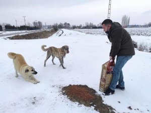 DKMP Eskişehir ekipleri kırsalda yaşayan hayvanlarını beslemeye devam ediyor