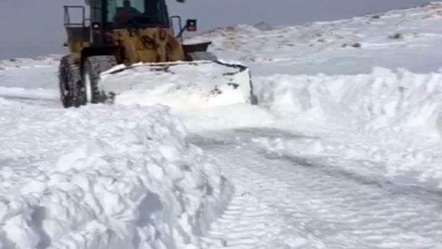 Erzurum'da çığ faciası! 2 kişi karlar altında kaldı, ekipler bölgeye ulaşmaya çalışıyor