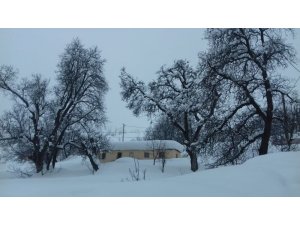 Tunceli’de 151 köy yolunda karla mücadele sürüyor