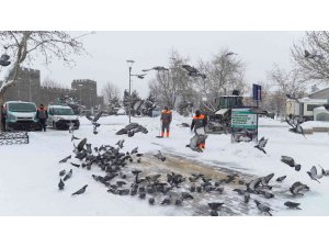 Melikgazi soğuk kış günlerinde sokak hayvanlarını unutmadı