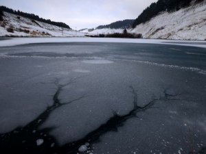 Sarıkamış'taki Ördek Gölü tamamen dondu