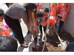 Silopi’de öğrenciler tiyatrodan kazandıkları parayla ağaç dikti