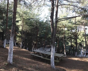 Hatay'da ormanlık alanlara giriş yasaklandı
