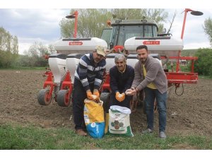 Yozgat’ta 5 çeşit kuru ve yeşil fasulye deneme ekimi yapıldı
