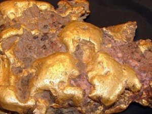 Çinli çoban 8 kilo saf altın buldu
