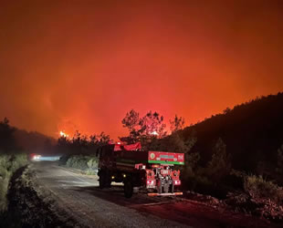 Marmaris'te orman yangını: Havadan müdahale yeniden başladı