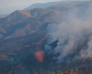 Marmaris'teki orman yangını 3. gününde! Havadan, karadan müdahale sürüyor