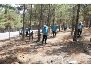 Gaziantep’te orman yangınlarına karşı tedbirler arttı