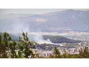 İzmir’de ağaçlık alanda yangın kontrol altında