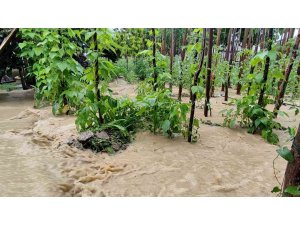 Karabük’te yollar ve tarım arazileri sular altında kaldı