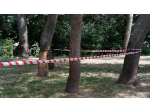 Edirne’de ormanlara giriş 3 ay yasaklandı