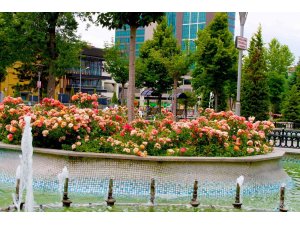 Büyükşehir belediyesinden ’En güzel bahçe’ Yarışması