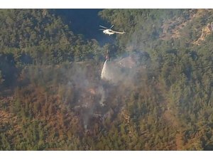 Bergama’daki orman yangını 1 saatte kontrol altında
