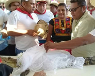 Meksika'da belediye başkanı timsahla evlendi